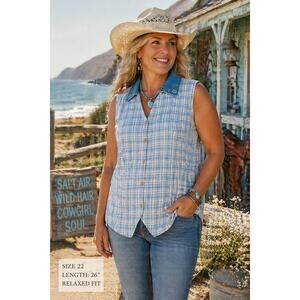 At Last & Co. Plaid Sleeveless Shirt Size 22/24 Embroidered Denim Collar Western